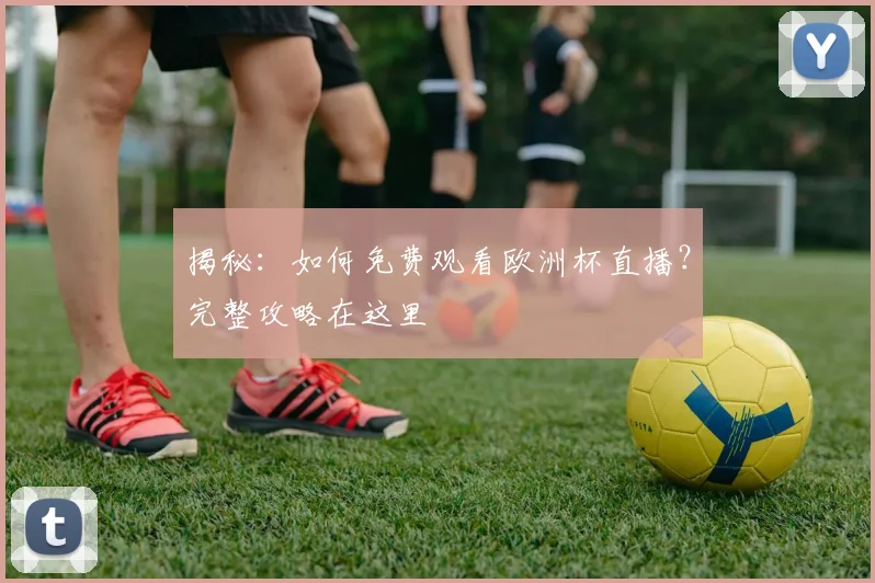 揭秘:如何免费观看欧洲杯直播?完整攻略在这里