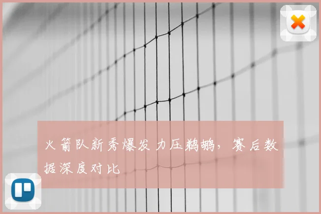 火箭队新秀爆发力压鹈鹕，赛后数据深度对比