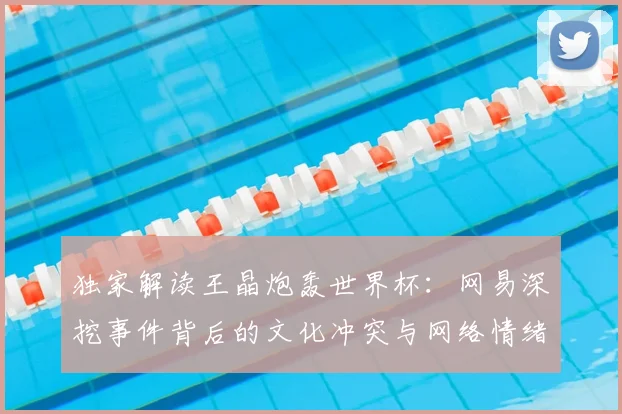 独家解读王晶炮轰世界杯：网易深挖事件背后的文化冲突与网络情绪