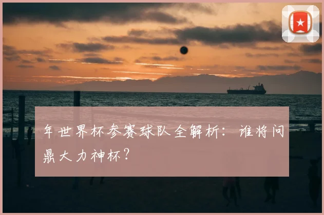 年世界杯参赛球队全解析:谁将问鼎大力神杯?
