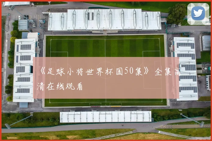 《足球小将世界杯国50集》全集高清在线观看