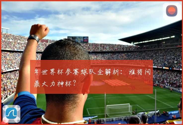 年世界杯参赛球队全解析:谁将问鼎大力神杯?