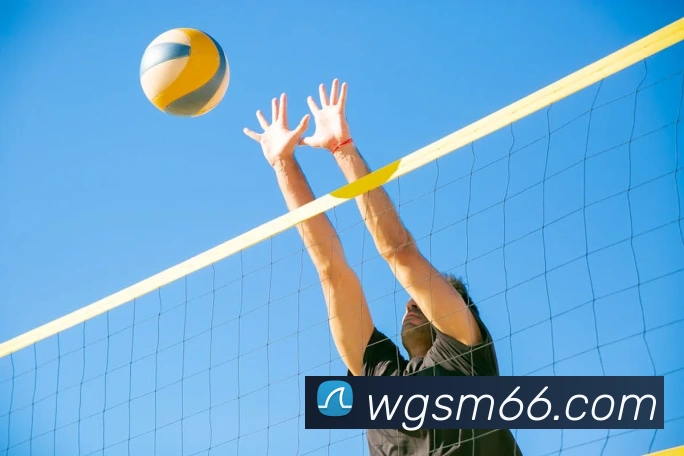 云开体育app官网入口app发展历程